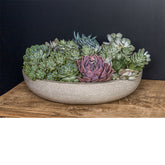 Campania Playa Large Bowls - Set of 4